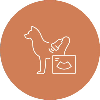 Pet Wellness Care icon